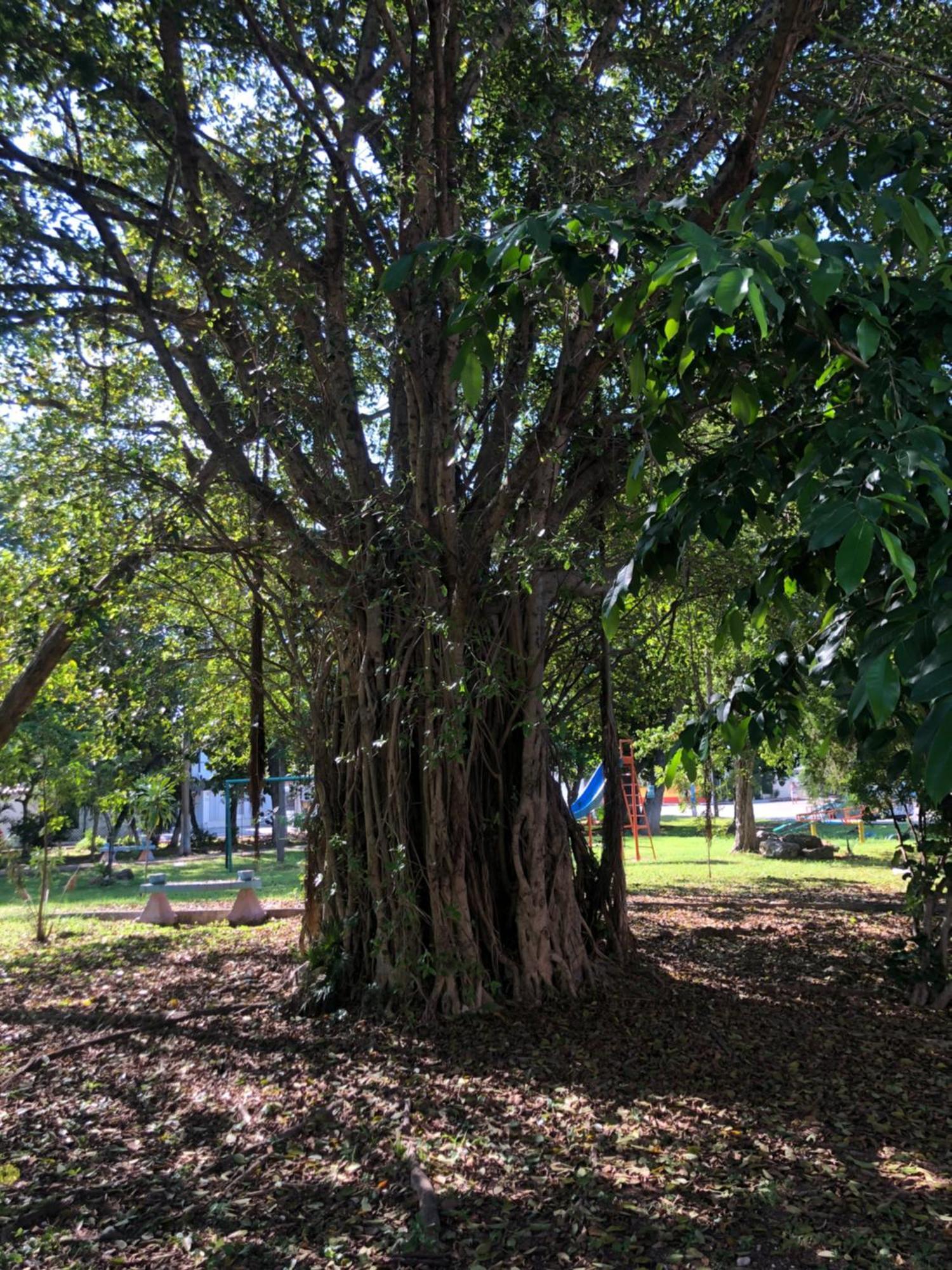 Casa Playa Hermosa カンクン エクステリア 写真